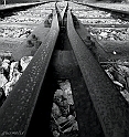 Binari (3) - IMG_1059